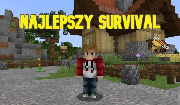 Serwery Minecraft Survival Działkami: Odkryj Możliwości